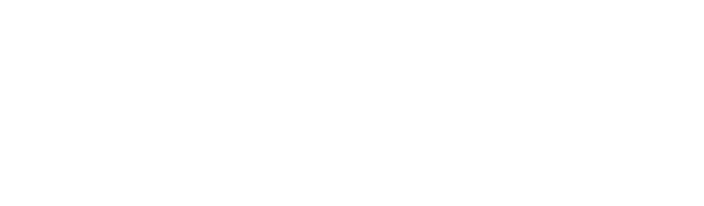 BoomBozz craft pizza & taphouse logo white